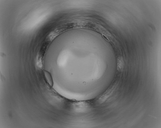 X0000090910431200708061526