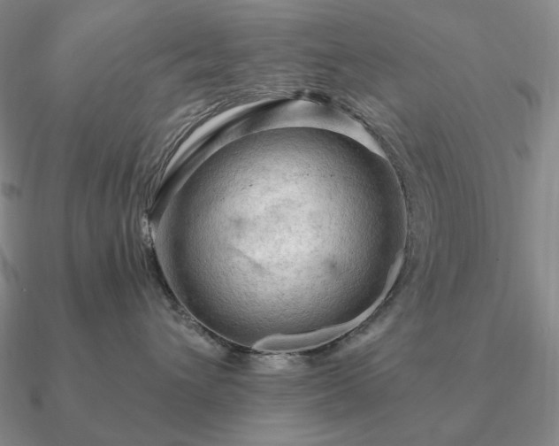 X0000090910432200708061526