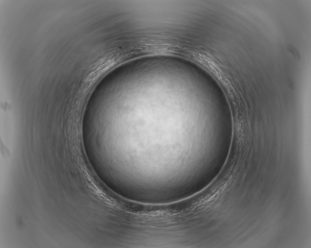 X0000090910433200708061526