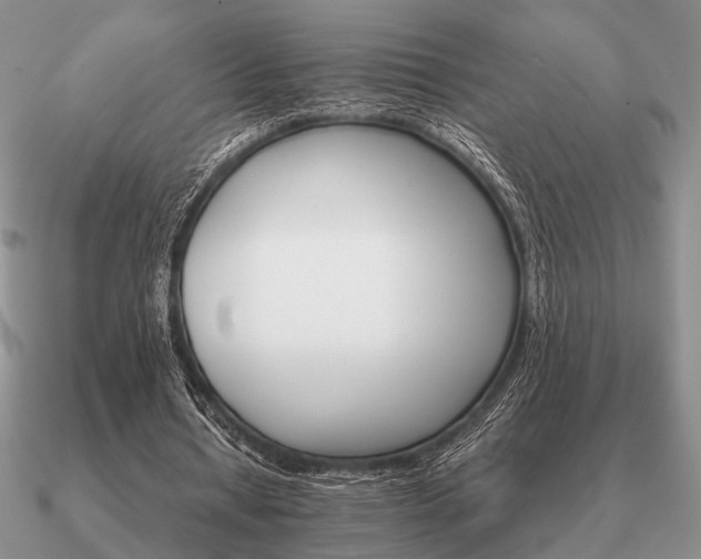 X0000090910434200708061526