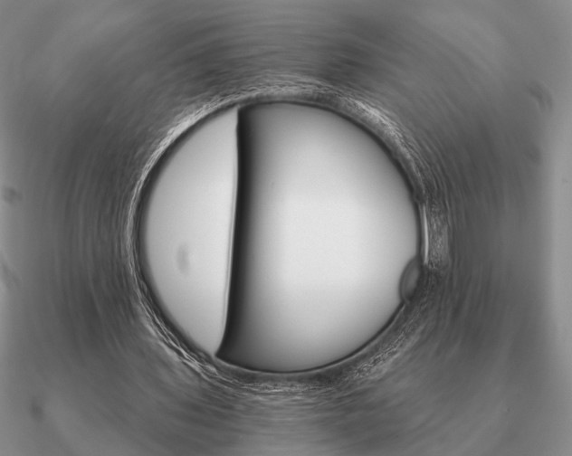 X0000090910435200708061526