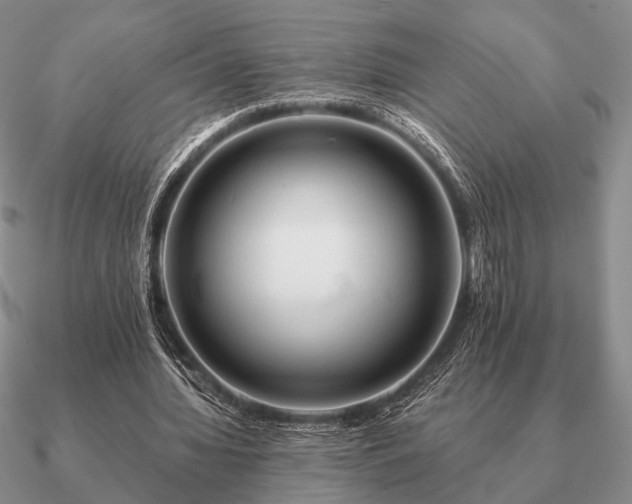 X0000090910436200708061526