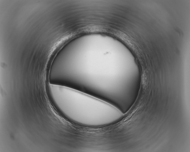 X0000090910438200708061526