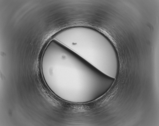 X0000090910439200708061526