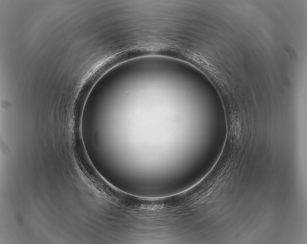 X0000090910440200708061526