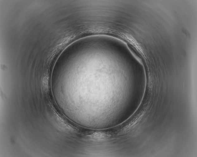 X0000090910441200708061526