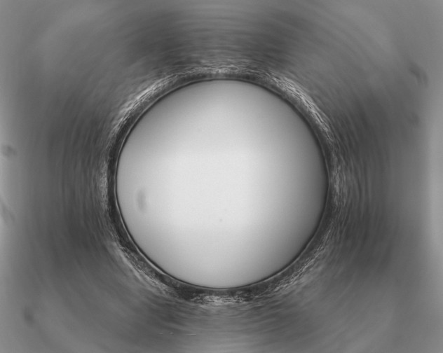 X0000090910442200708061526