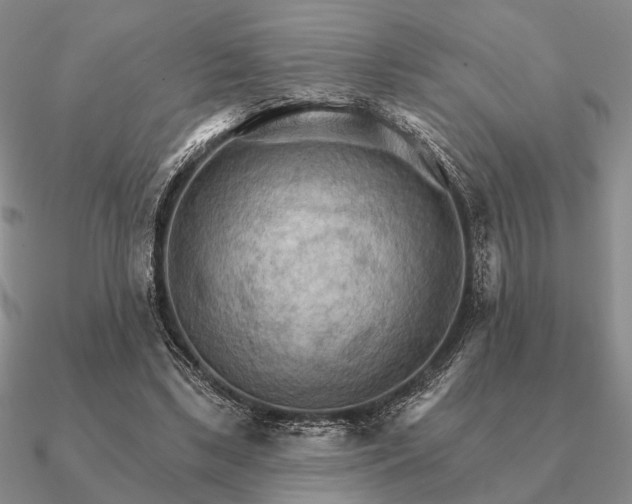 X0000090910443200708061526