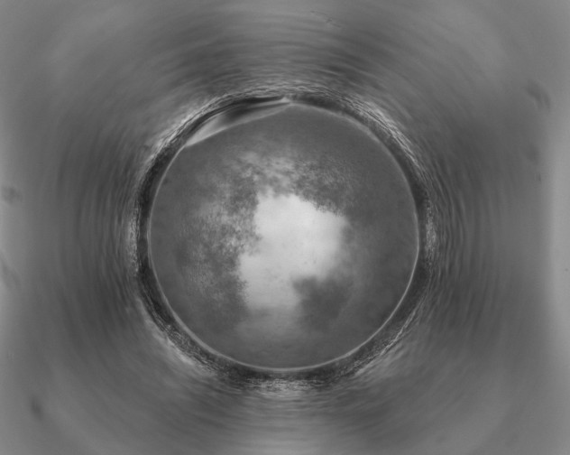 X0000090910444200708061526