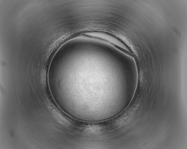 X0000090910445200708061526