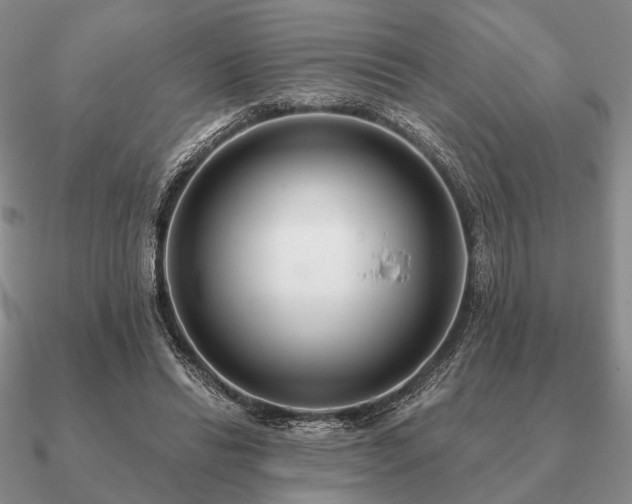 X0000090910446200708061526