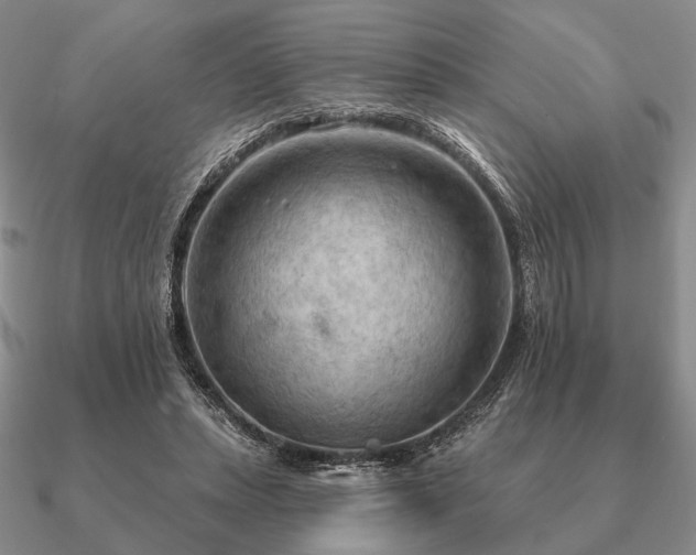 X0000090910447200708061526