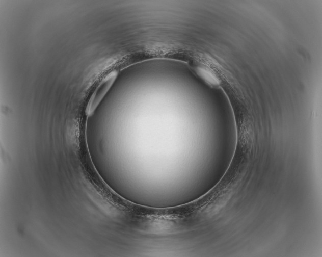 X0000090910448200708061526