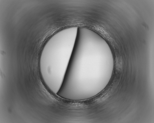 X0000090910449200708061526