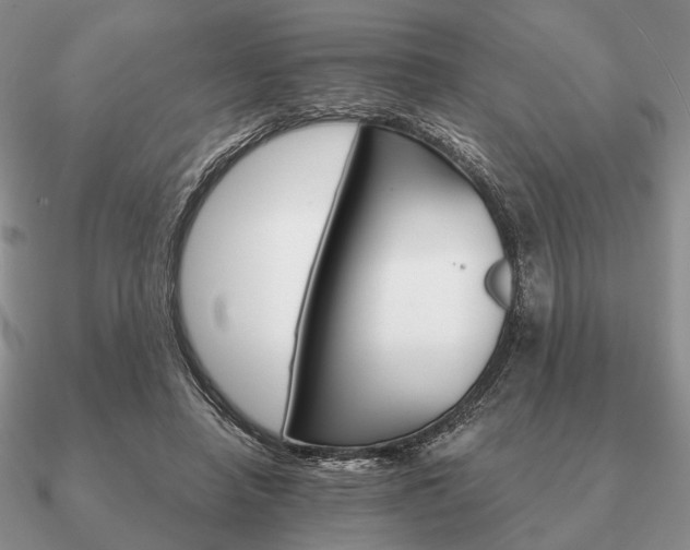 X0000090910450200708061526