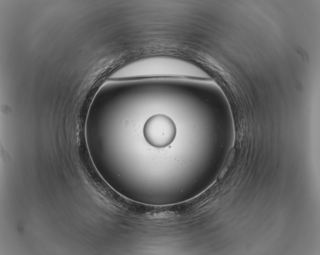 X0000090910452200708061526