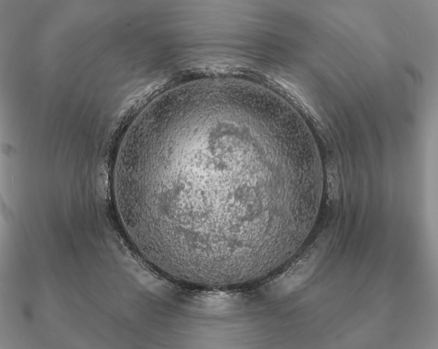 X0000090910453200708061526