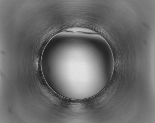 X0000090910454200708061526