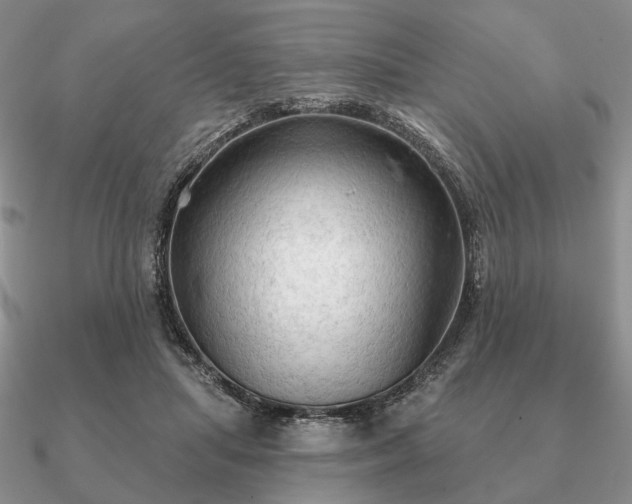 X0000090910455200708061526