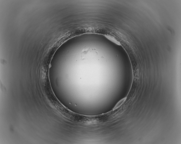 X0000090910456200708061526