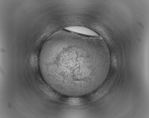 X0000090910457200708061526