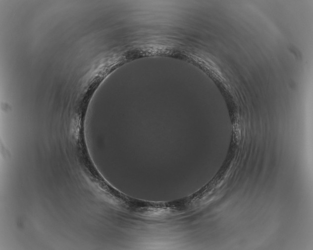 X0000090910458200708061526