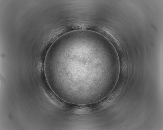 X0000090910459200708061526