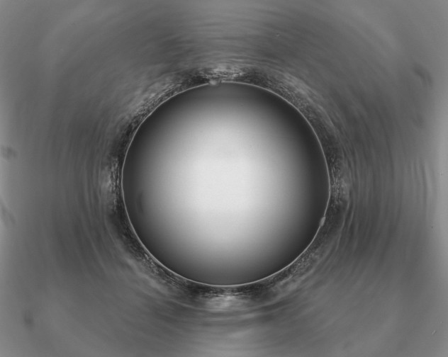 X0000090910460200708061526