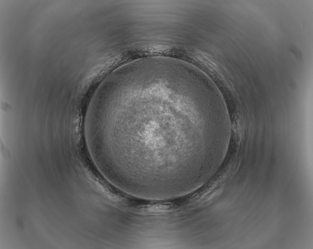 X0000090910462200708061526