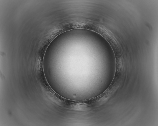 X0000090910463200708061526