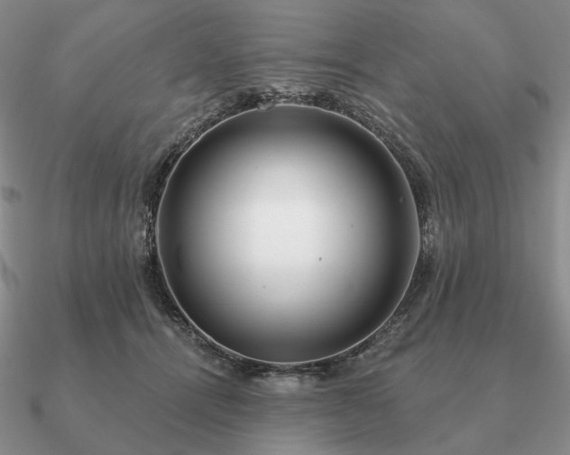 X0000090910464200708061526