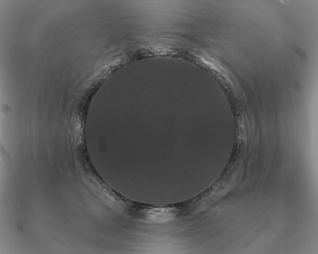 X0000090910465200708061526