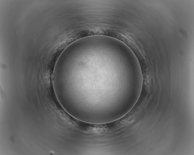 X0000090910466200708061526