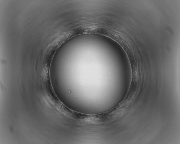 X0000090910468200708061526