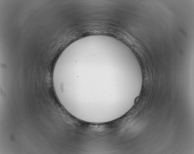 X0000090910469200708061526