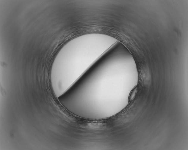 X0000090910470200708061526