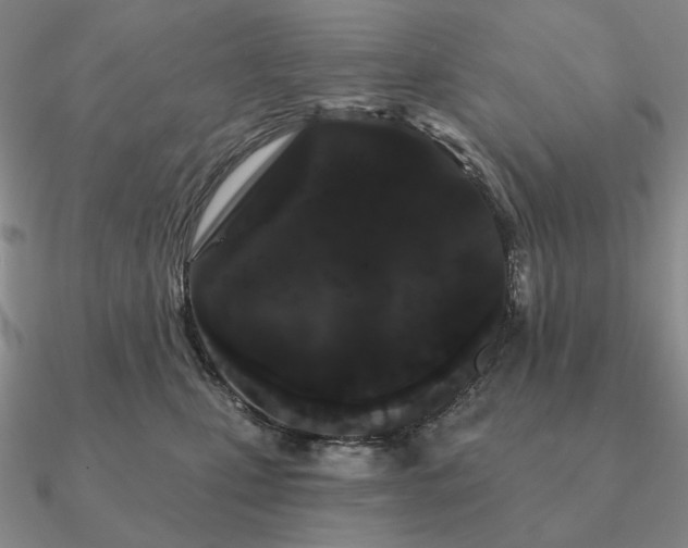 X0000090910471200708061526