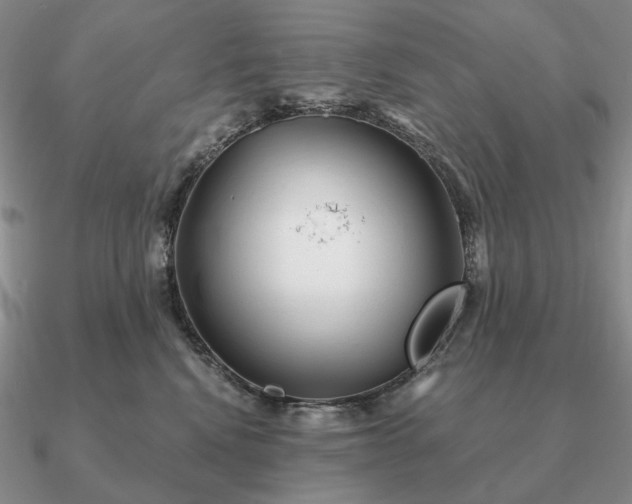 X0000090910472200708061526