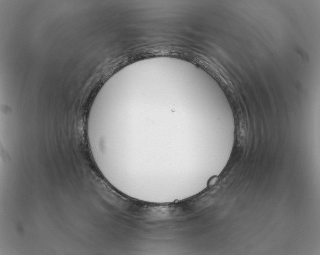 X0000090910473200708061526