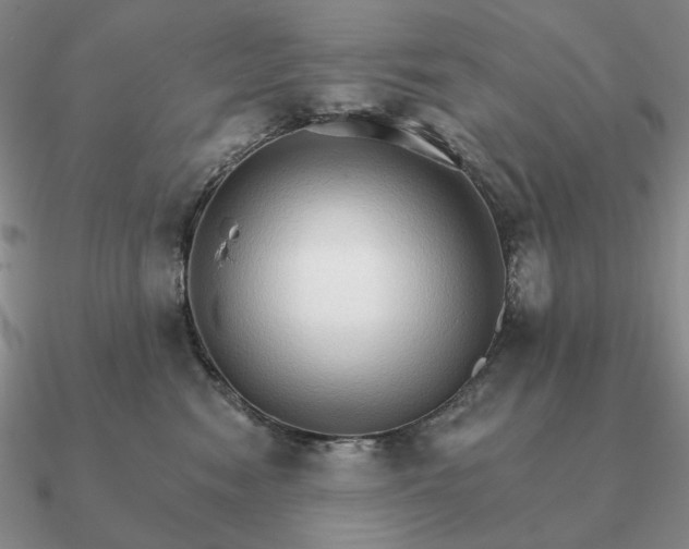 X0000090910474200708061526