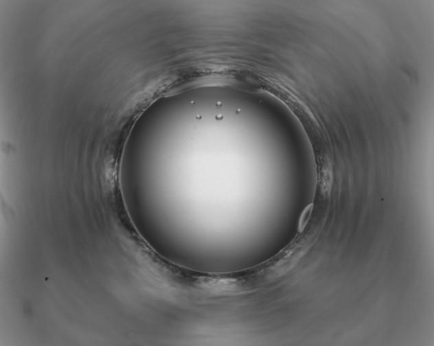 X0000090910476200708061526