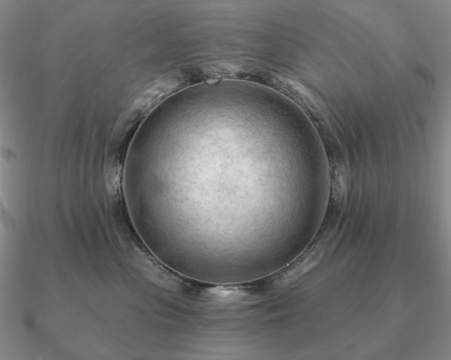 X0000090910477200708061526