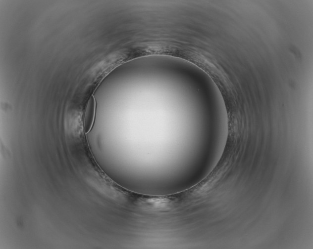 X0000090910478200708061526