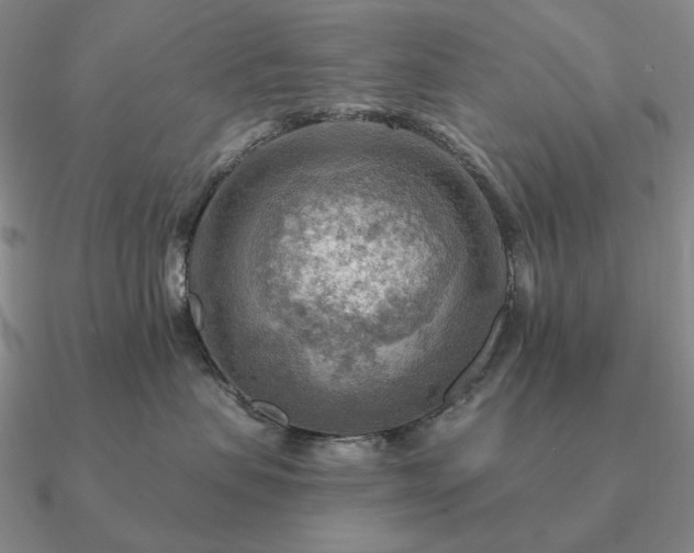 X0000090910479200708061526