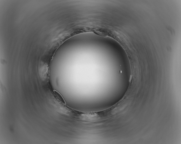 X0000090910480200708061526