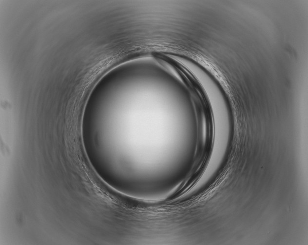 X0000090910481200708061526