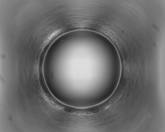 X0000090910482200708061526