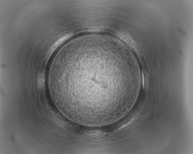 X0000090910483200708061526