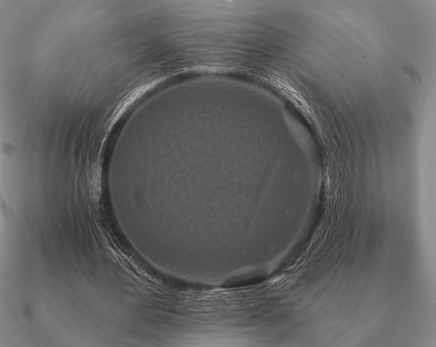 X0000090910484200708061526