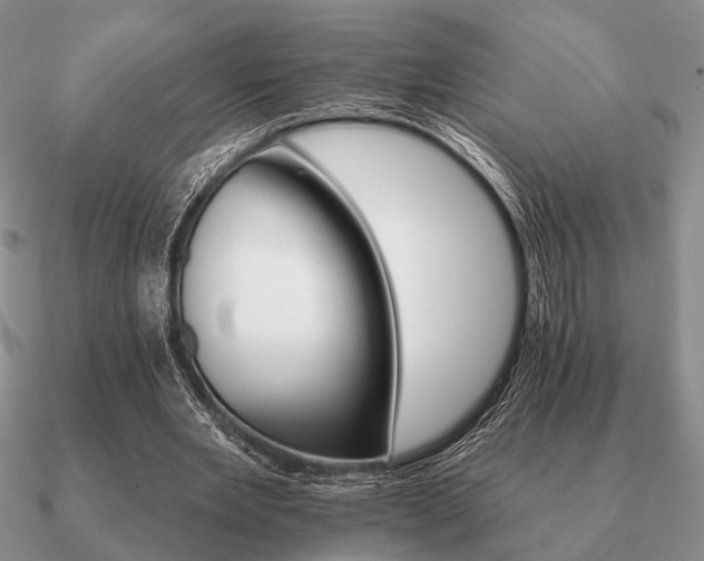 X0000090910485200708061526